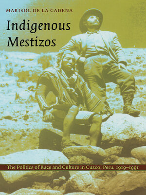 cover image of Indigenous Mestizos